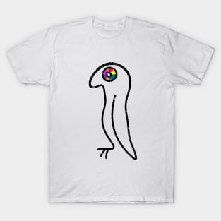 Rainbow Ayes T-Shirt